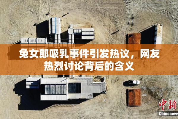 兔女郎吸乳事件引发热议，网友热烈讨论背后的含义