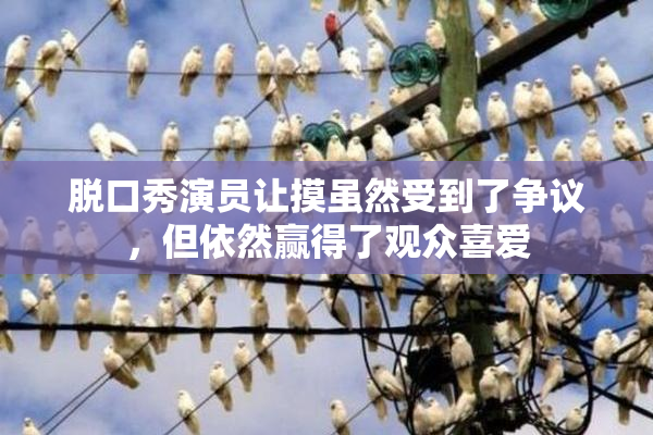 脱口秀演员让摸虽然受到了争议，但依然赢得了观众喜爱