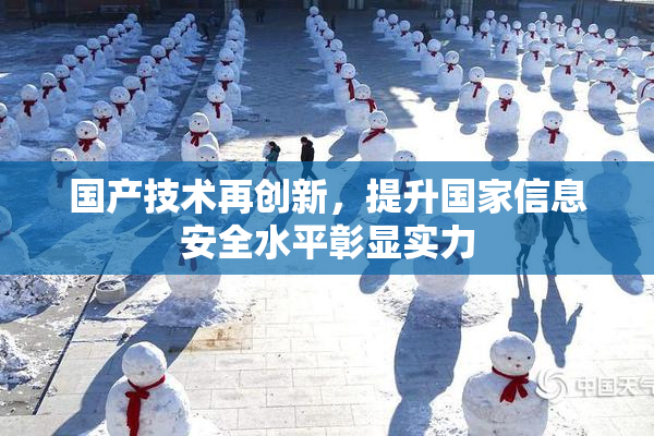 国产技术再创新，提升国家信息安全水平彰显实力