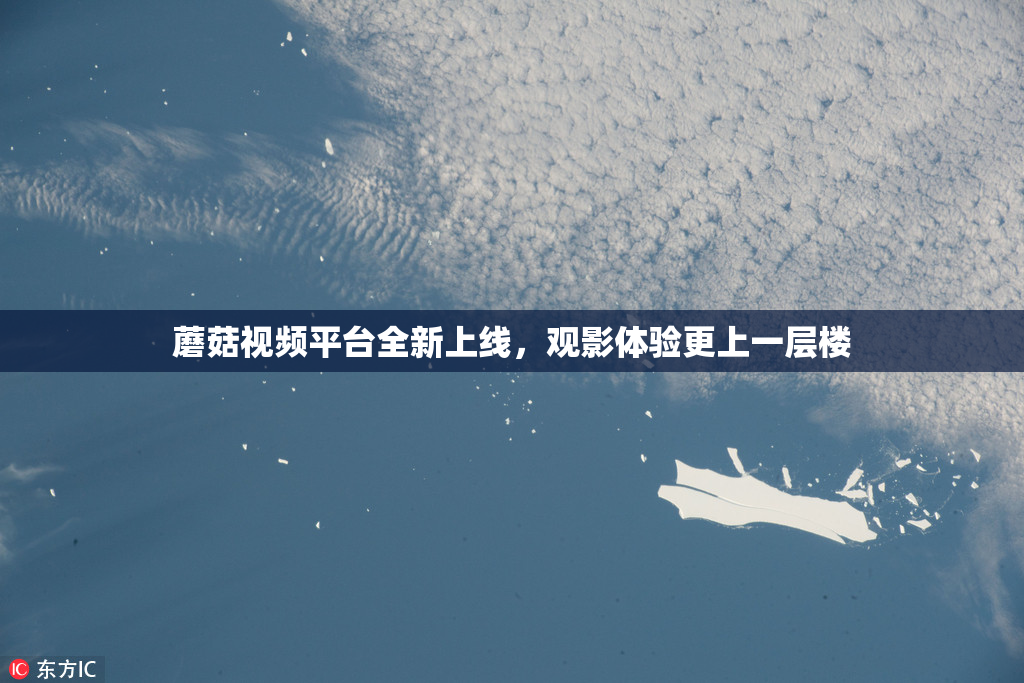 蘑菇视频平台全新上线，观影体验更上一层楼