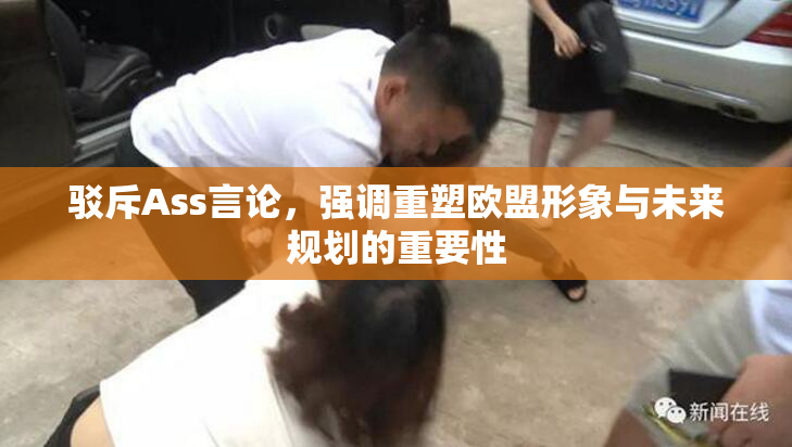 驳斥Ass言论，强调重塑欧盟形象与未来规划的重要性