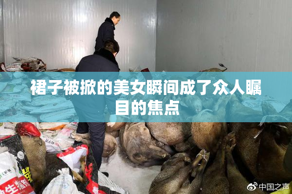 裙子被掀的美女瞬间成了众人瞩目的焦点