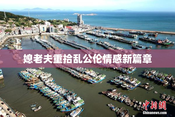 媳老夫重拾乱公伦情感新篇章