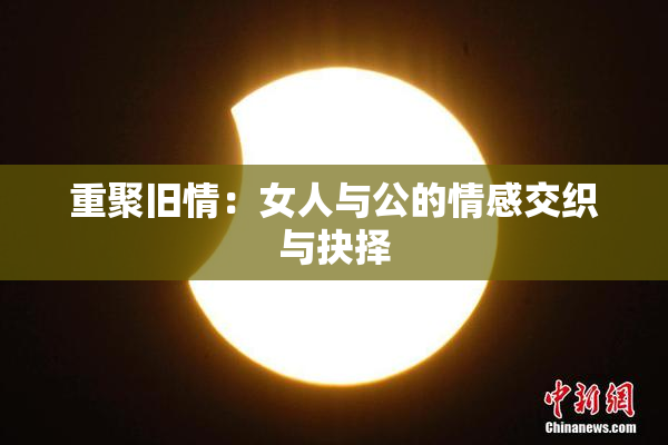 重聚旧情：女人与公的情感交织与抉择