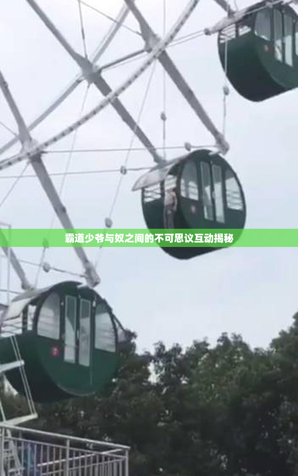霸道少爷与奴之间的不可思议互动揭秘
