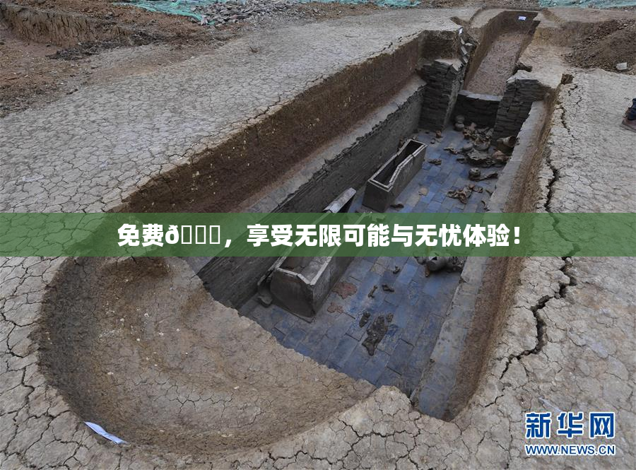 免费🔞，享受无限可能与无忧体验！