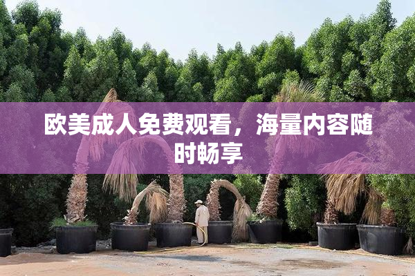 欧美成人免费观看，海量内容随时畅享