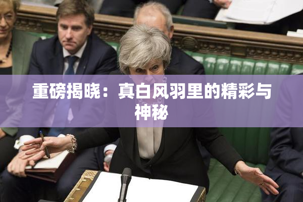 重磅揭晓：真白风羽里的精彩与神秘