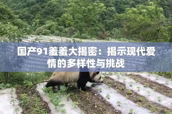 国产91羞羞大揭密：揭示现代爱情的多样性与挑战