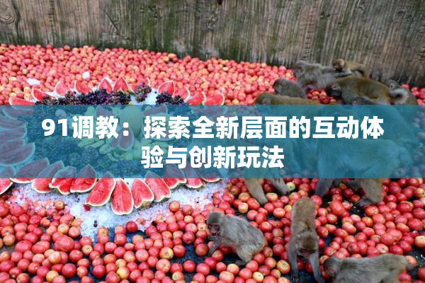 91调教：探索全新层面的互动体验与创新玩法