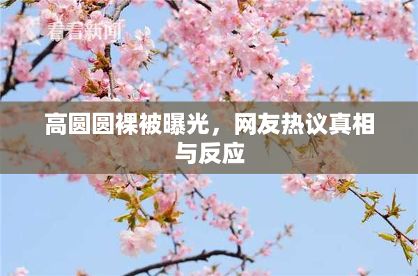 高圆圆裸被曝光，网友热议真相与反应