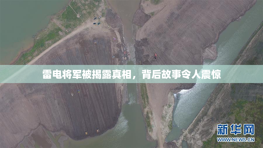 雷电将军被揭露真相，背后故事令人震惊