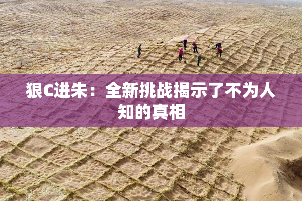 狠C进朱：全新挑战揭示了不为人知的真相