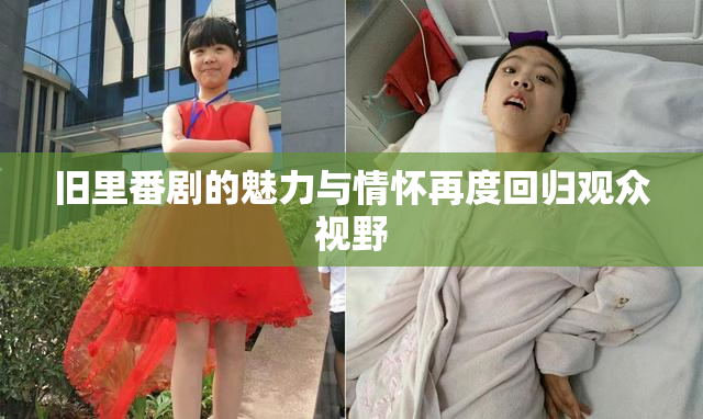 旧里番剧的魅力与情怀再度回归观众视野