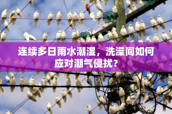 连续多日雨水潮湿，洗澡间如何应对潮气侵扰？