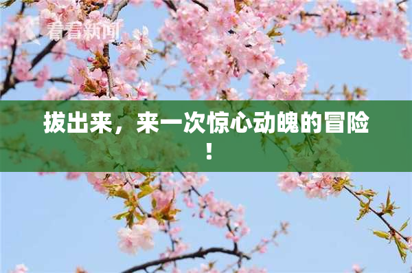 拔出来，来一次惊心动魄的冒险！