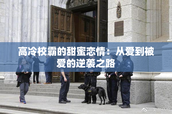 高冷校霸的甜蜜恋情：从爱到被爱的逆袭之路