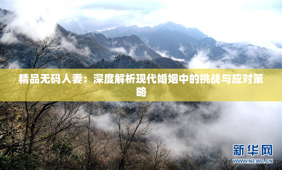 精品无码人妻：深度解析现代婚姻中的挑战与应对策略