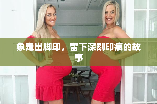 象走出脚印，留下深刻印痕的故事