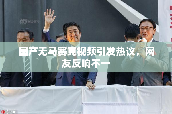 国产无马赛克视频引发热议，网友反响不一