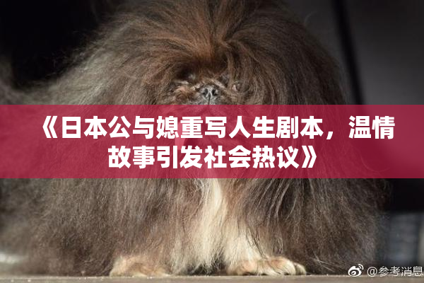 《日本公与媳重写人生剧本，温情故事引发社会热议》