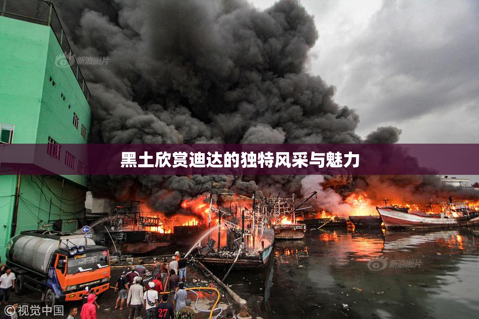 黑土欣赏迪达的独特风采与魅力