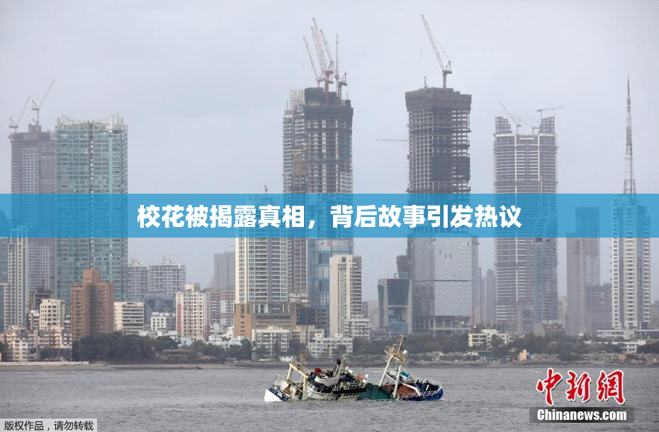 校花被揭露真相，背后故事引发热议
