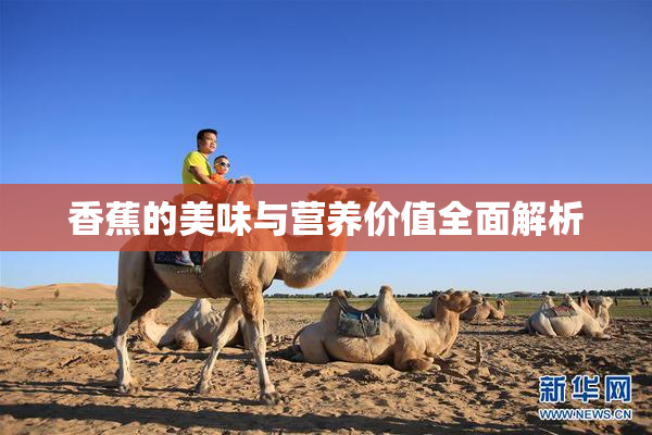 香蕉的美味与营养价值全面解析