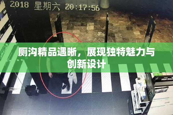 厕沟精品遇晰，展现独特魅力与创新设计