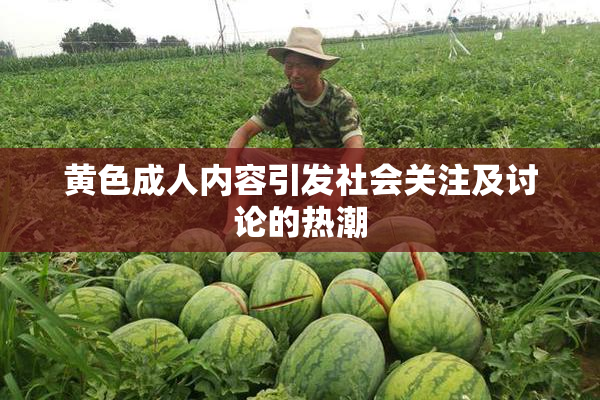 黄色成人内容引发社会关注及讨论的热潮