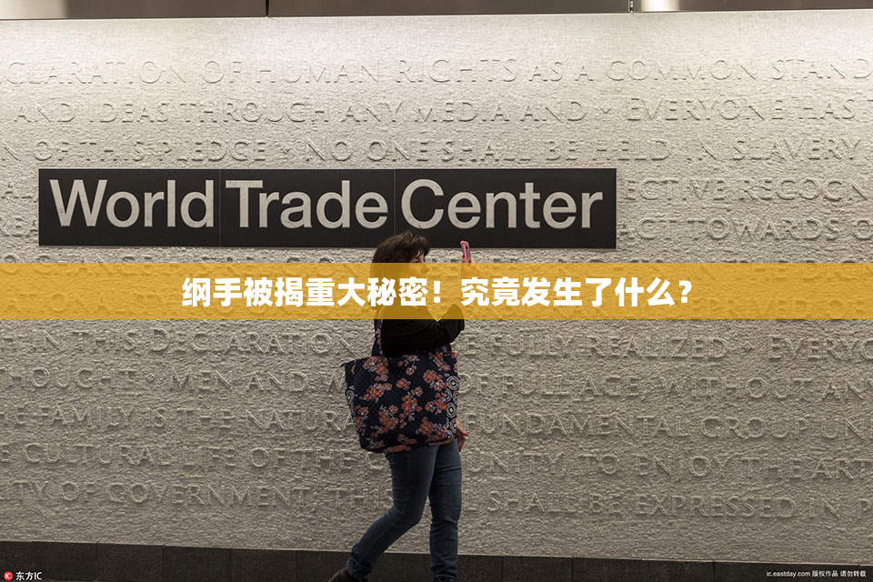 纲手被揭重大秘密！究竟发生了什么？