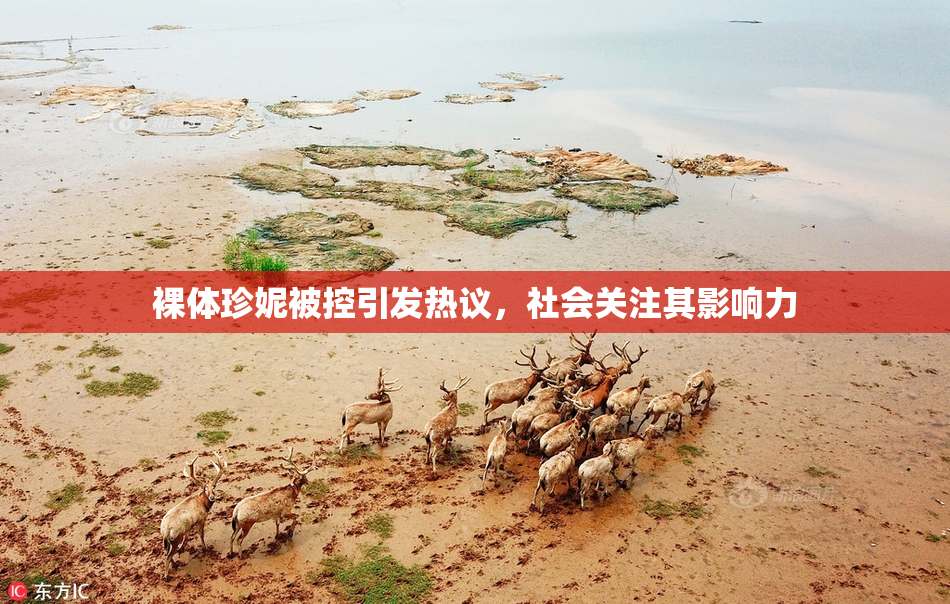 裸体珍妮被控引发热议，社会关注其影响力