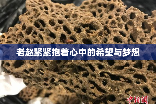 老赵紧紧抱着心中的希望与梦想