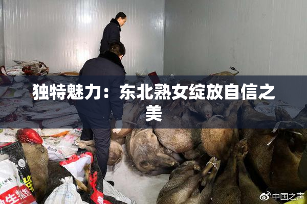 独特魅力：东北熟女绽放自信之美