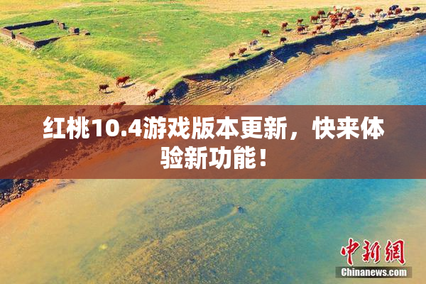 红桃10.4游戏版本更新，快来体验新功能！