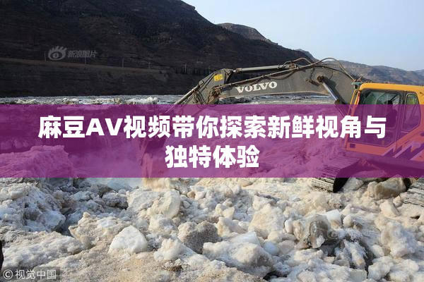 麻豆AV视频带你探索新鲜视角与独特体验
