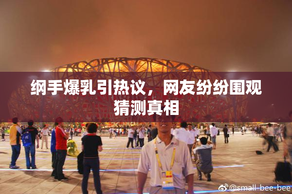 纲手爆乳引热议，网友纷纷围观猜测真相
