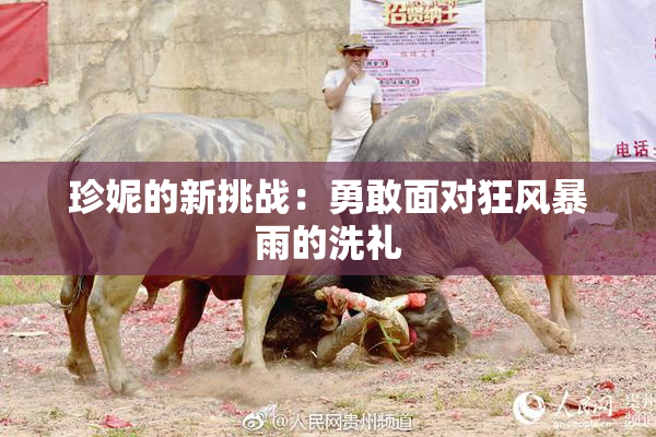 珍妮的新挑战：勇敢面对狂风暴雨的洗礼
