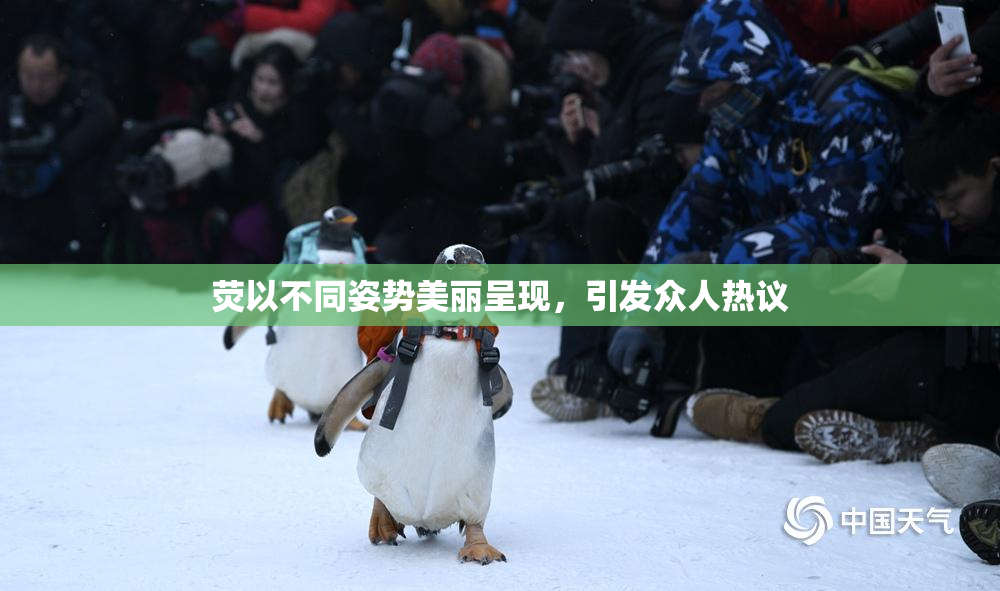 荧以不同姿势美丽呈现，引发众人热议