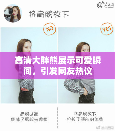 高清大胖熊展示可爱瞬间，引发网友热议