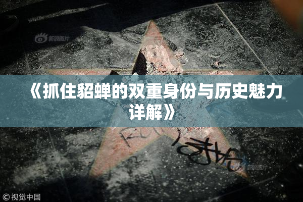 《抓住貂蝉的双重身份与历史魅力详解》