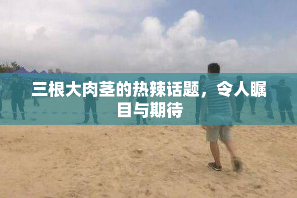 三根大肉茎的热辣话题，令人瞩目与期待
