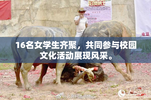 16名女学生齐聚，共同参与校园文化活动展现风采。