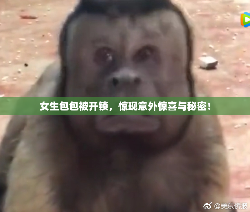 女生包包被开锁，惊现意外惊喜与秘密！