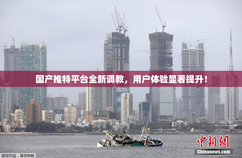 国产推特平台全新调教，用户体验显著提升！