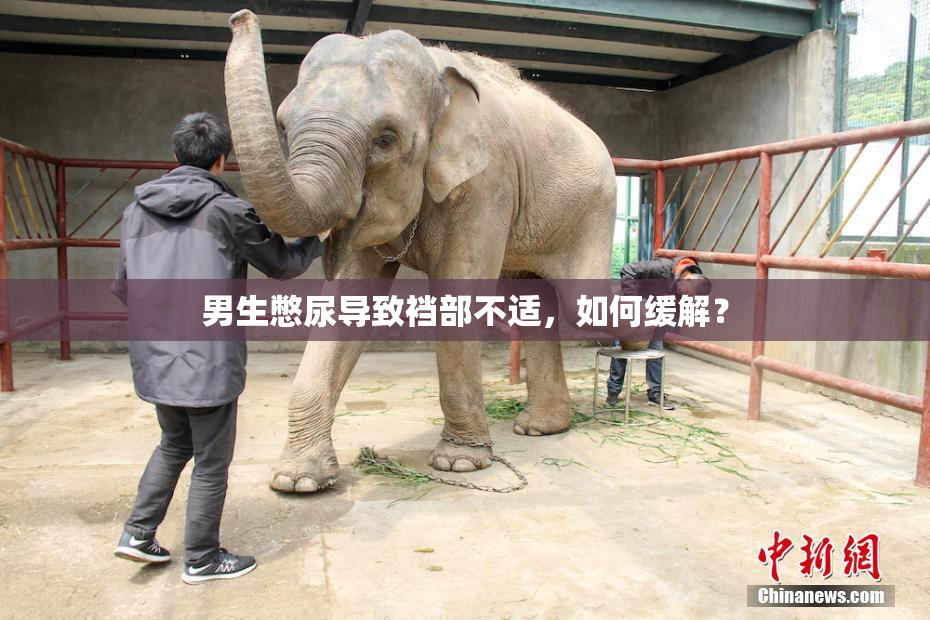 男生憋尿导致裆部不适，如何缓解？