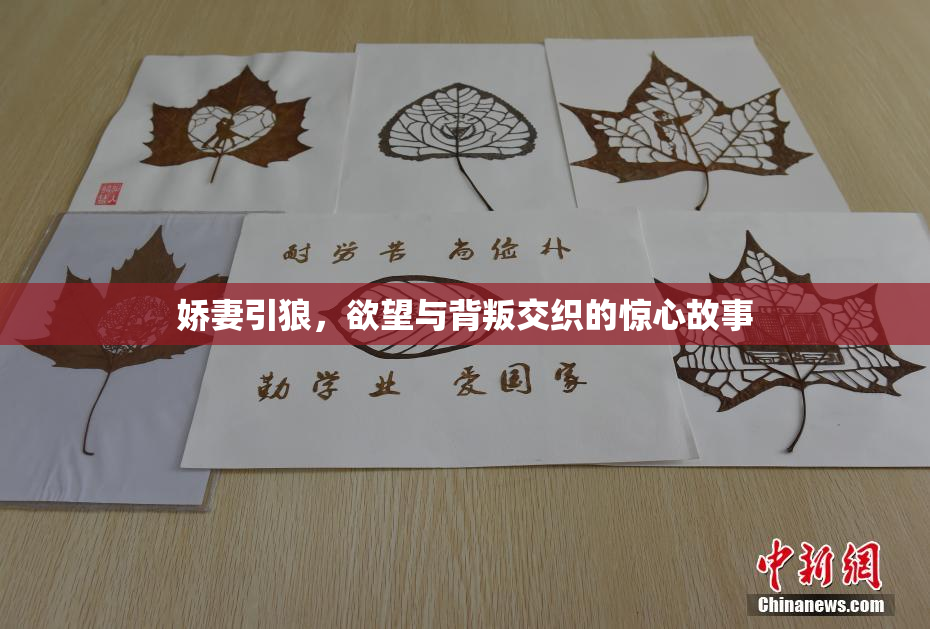 娇妻引狼，欲望与背叛交织的惊心故事