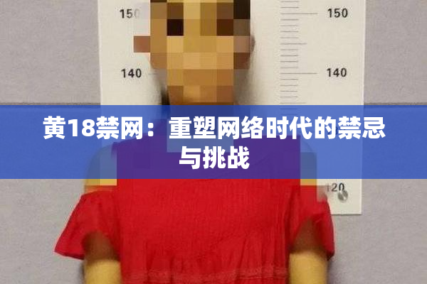 黄18禁网：重塑网络时代的禁忌与挑战