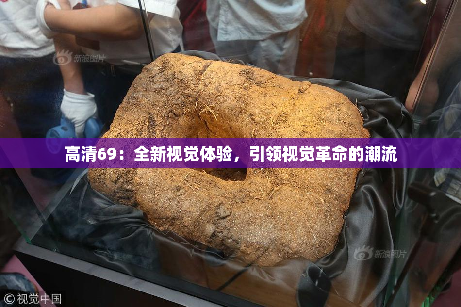 高清69：全新视觉体验，引领视觉革命的潮流