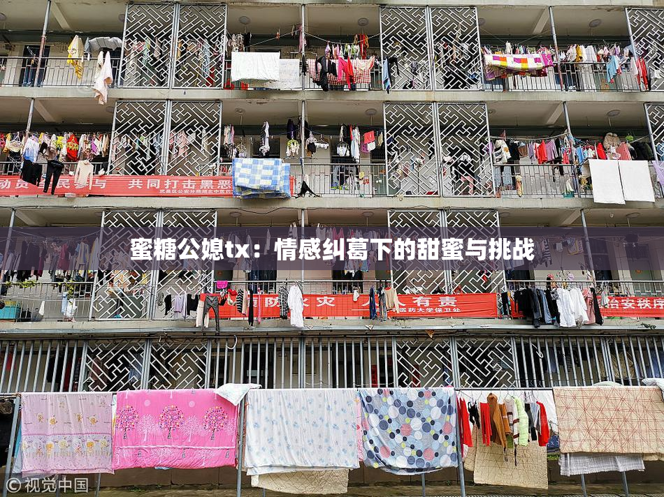 蜜糖公媳tx：情感纠葛下的甜蜜与挑战